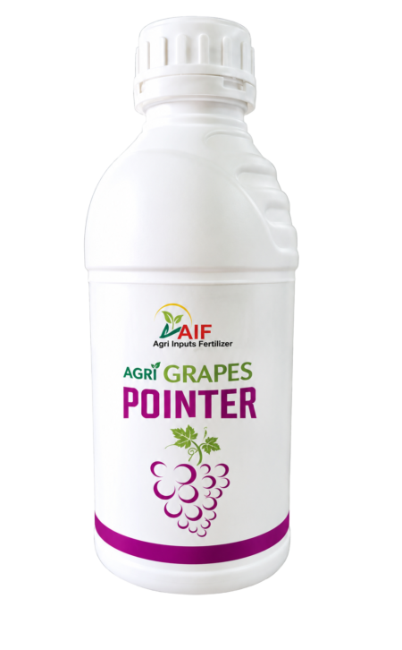 Agri grapes pointer
